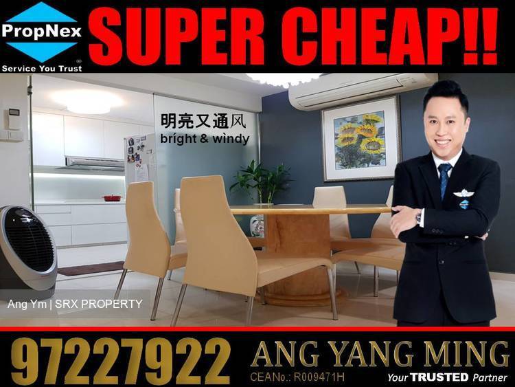 Blk 290B Bukit Batok Street 24 (Bukit Batok), HDB Executive #171231432